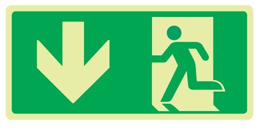 Cartello Luminescente bifacciale in All. 220x125 mm USCITA DI EMERGENZA CON FRECCIA VERSO IL BASSO