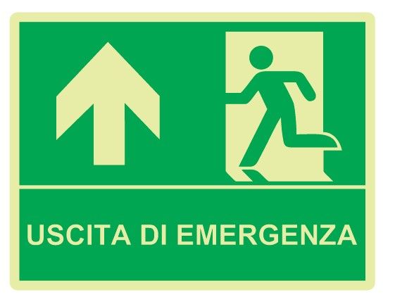 Cartello Luminescente bifacciale in All. 325x245 mm USCITA DI EMERGENZA CON FRECCIA VERSO L'ALTO