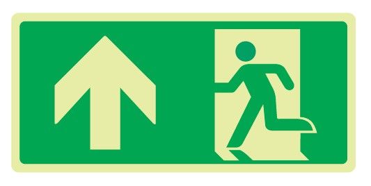 Cartello Luminescente bifacciale in All. 375x175 mm USCITA DI EMERGENZA CON FRECCIA VERSO L'ALTO