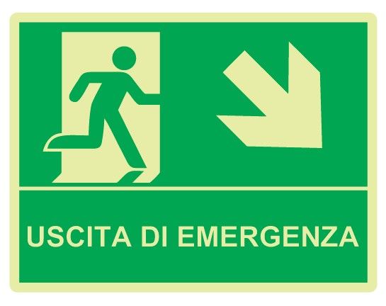 Cartello Luminescente bifacciale sospeso in All. 200x160 mm USCITA DI EMERGENZA CON FRECCIA IN BASSO A DX